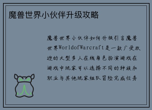 魔兽世界小伙伴升级攻略
